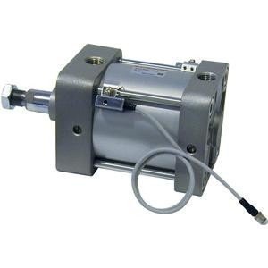 SMC NC1A325-24-295 | Trunnion Mount NCA1 325
